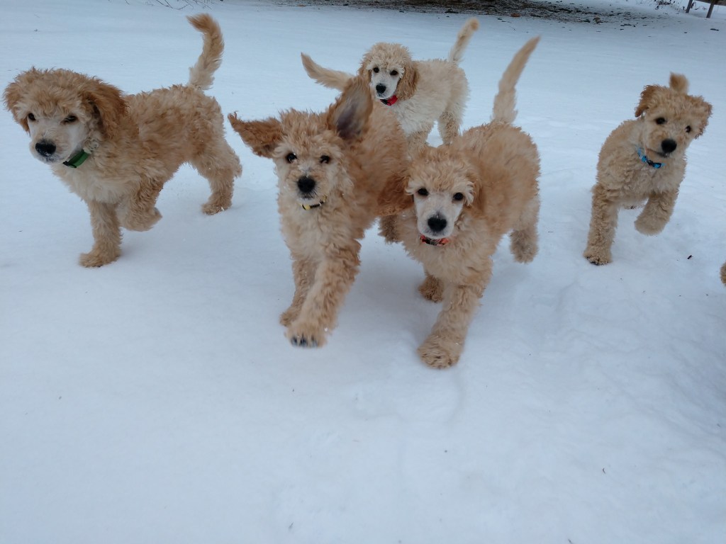 When is a Recall ‘Reliable’?