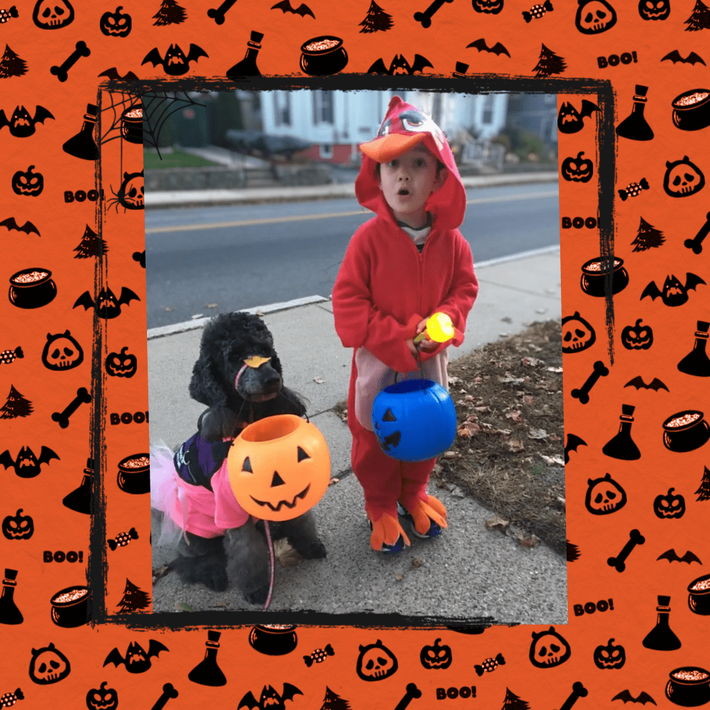 Howl-o-ween Preparation (Part&nbsp;2)