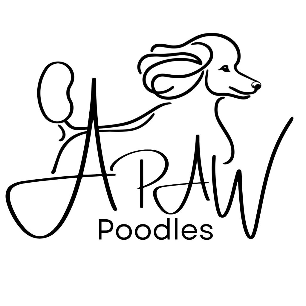 New APAW Logo!