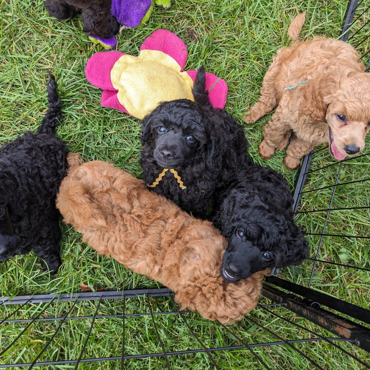 Characteristics for Different Service&nbsp;Roles